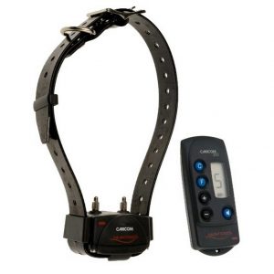 Top Ten Remote Trainers