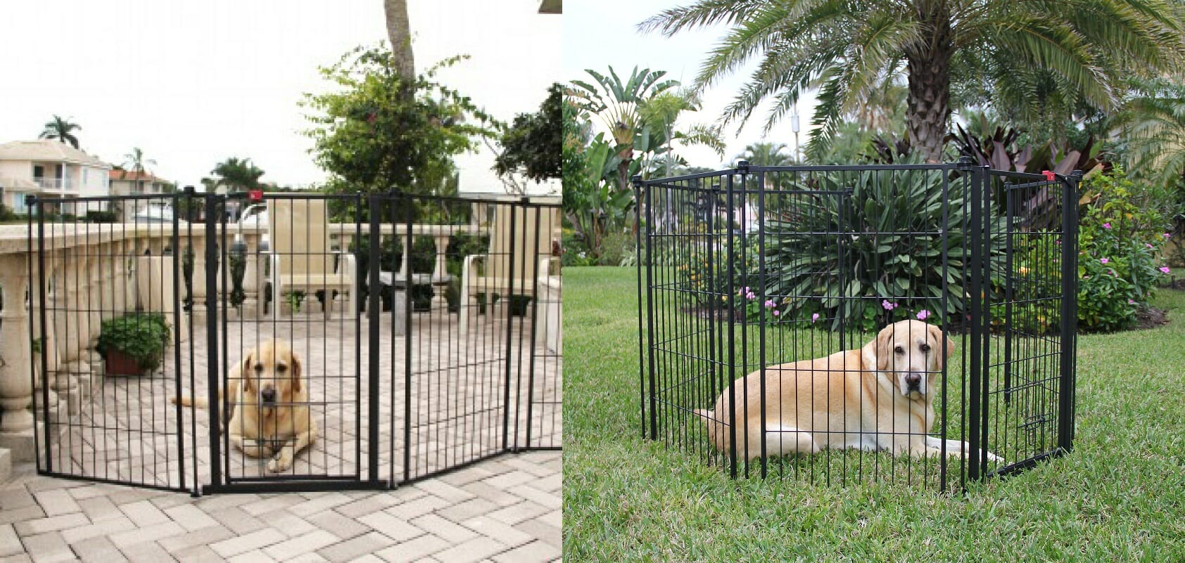 pet yard gate