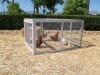 Extreme Hen House Chicken Pen Buy And Sell Hunting Dogs