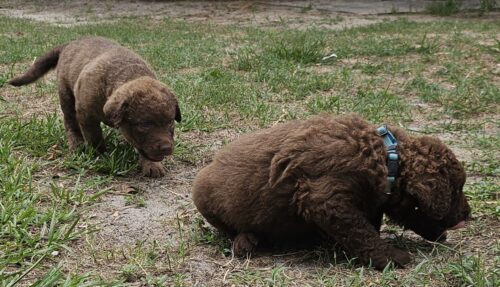 20250526_112209-ced09e53