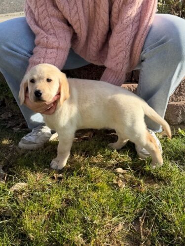 belle-side-0a138218