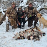 Champion Bloodlines - Yellow Lab Puppies