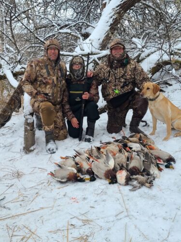 daisy-gary-tom-ducks-c9cf50df