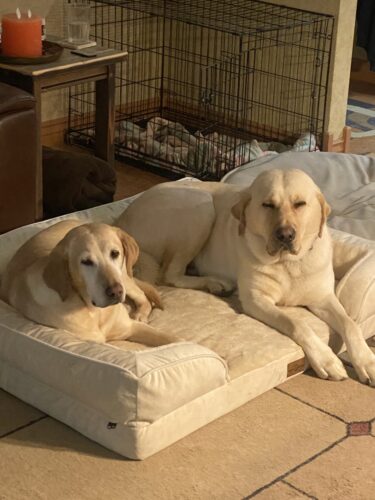 daisy-maddux-5e5ef721