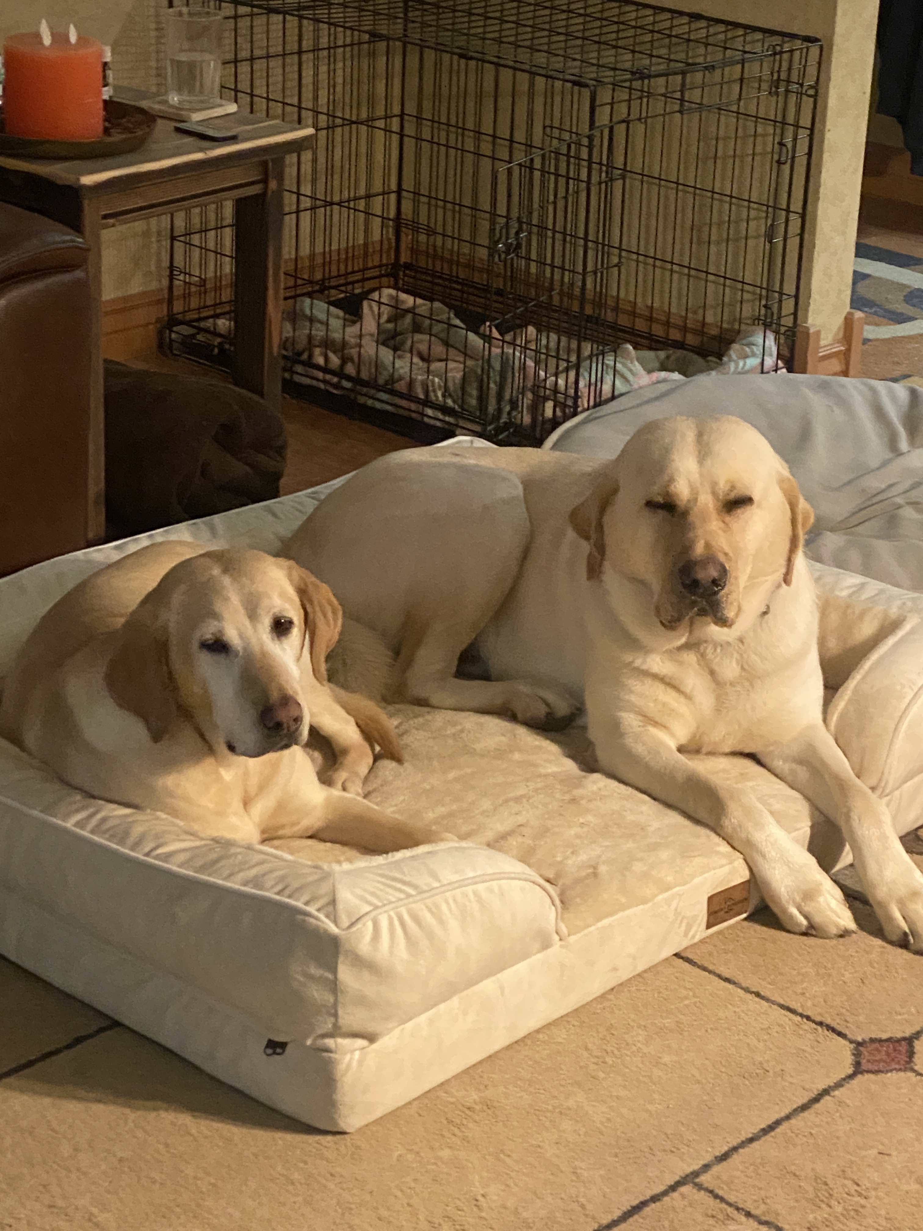 daisy-maddux-5e5ef721
