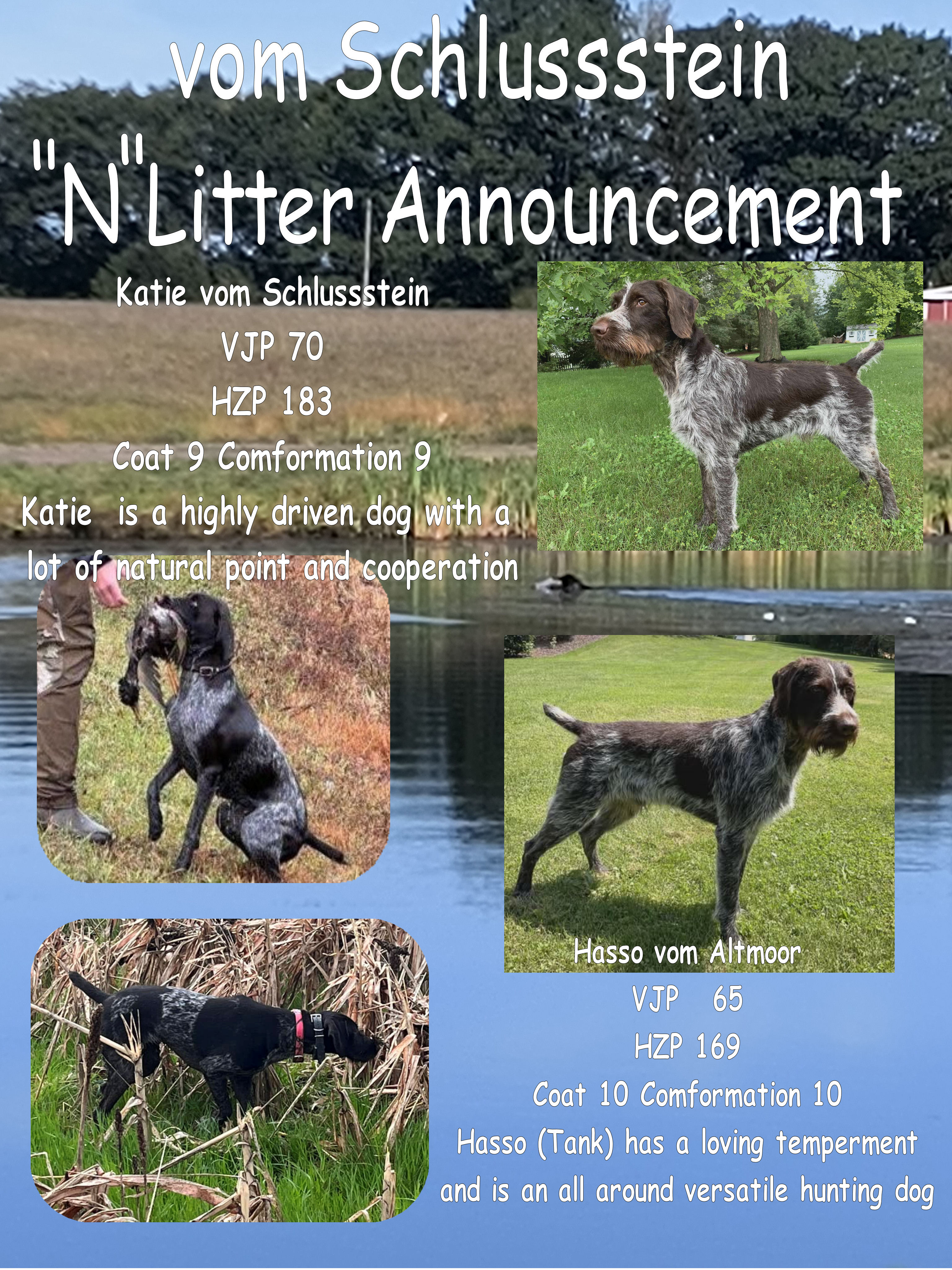 n-litter-82bb5961