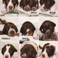 Thumbnail for the listing's main image