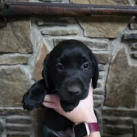 Thumbnail for the listing's main image