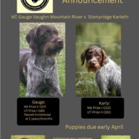 Thumbnail for the listing's main image