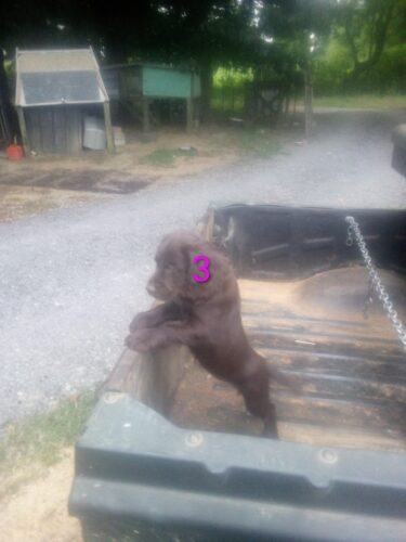 00001img_00001_burst202606220659062-ee1aa9be