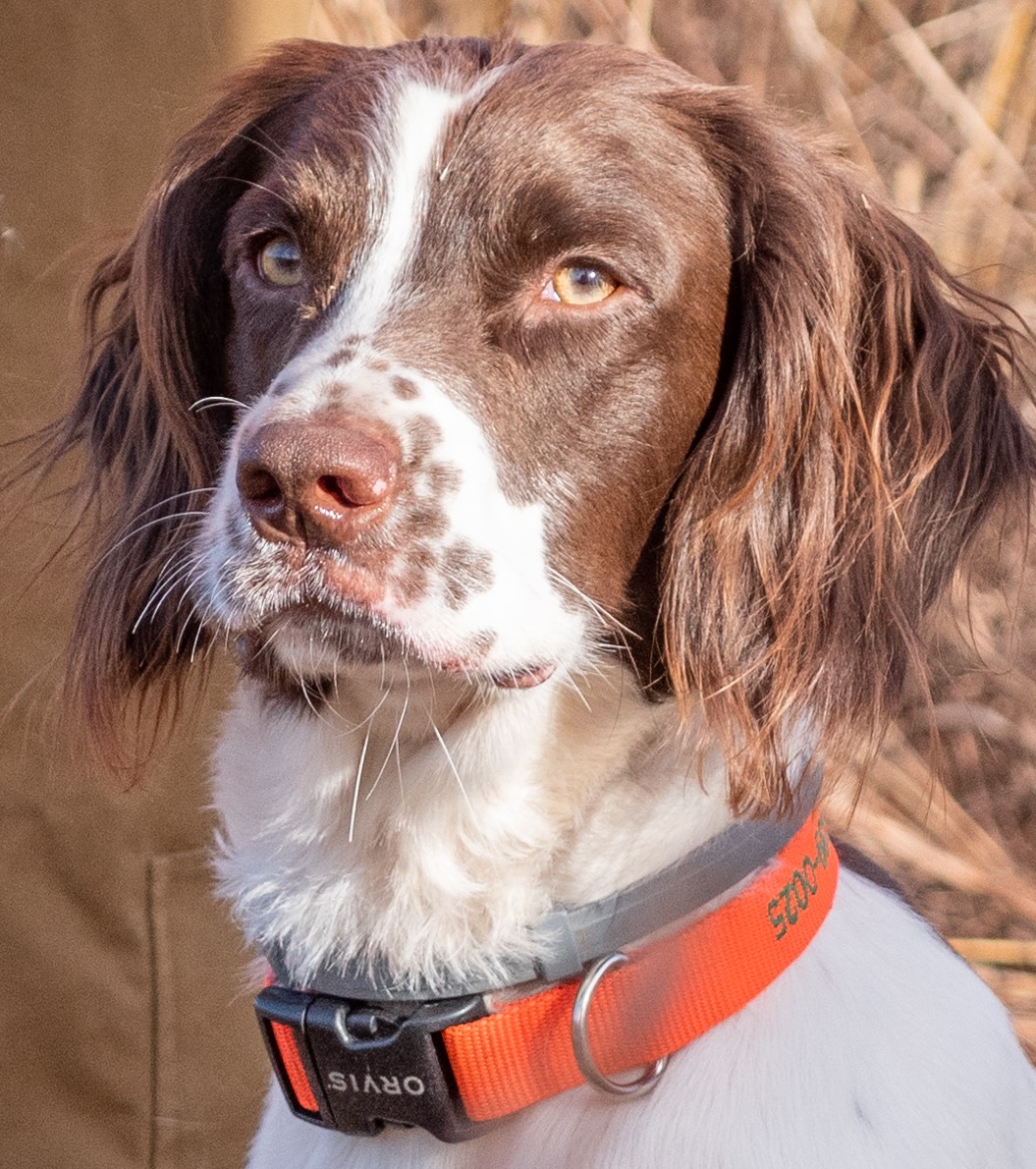 fionn-head-shot-dfca9532