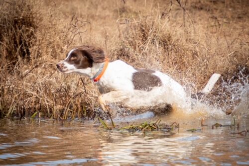 img_3570-2e4fd938