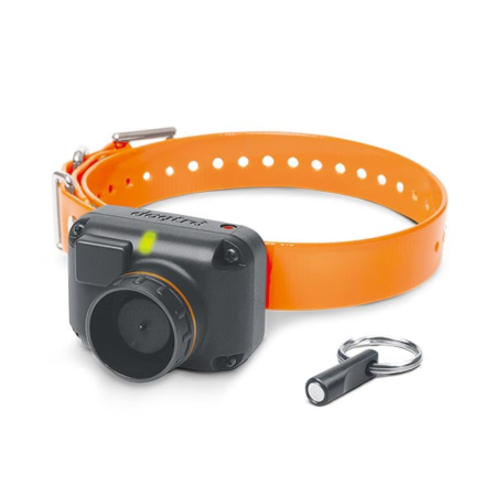 Dogtra STB Beeper Collar - Hawk Version