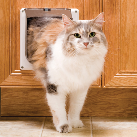 Cat Flap