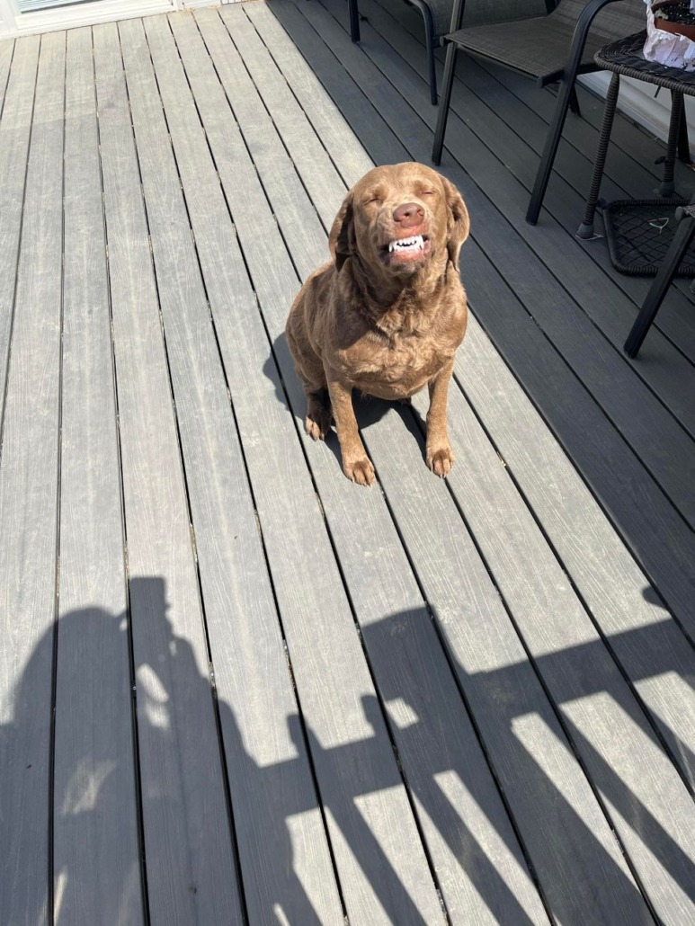 Freddie-Big-Smile-2
