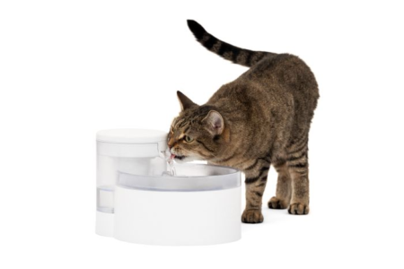 PetSafe Outlast Pet Fountain - 90 oz