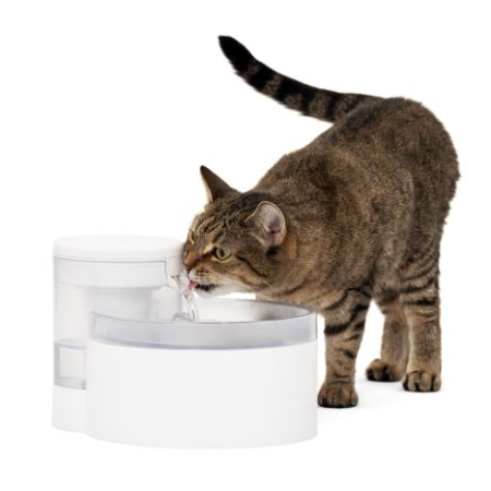 PetSafe Outlast Pet Fountain - 90 oz