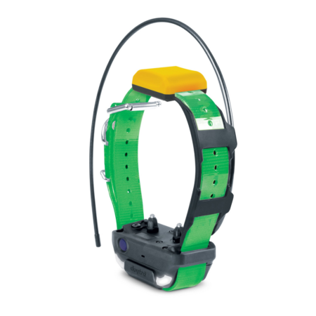 Dogtra Additional collar for use with Pathfinder 2 (Path2) - Green