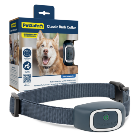 Bark Collar