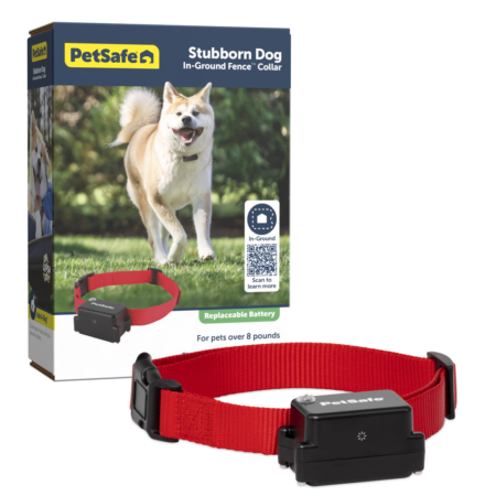 Stubborn Dog Extra Collar
