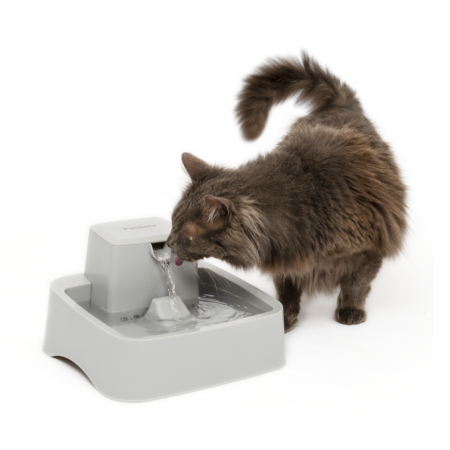 1/2 Gallon Pet Fountain