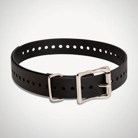 SportDOG 1 inch e-collar strap black