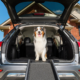 UltraLite Bi-fold Pet Ramp
