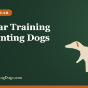 E-Collar Training for Hunting Dogs E-Collar Training for Hunting Dogs – Buy and Sell Hunting Dogs