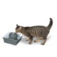 Seascape Pet Fountain - Gray