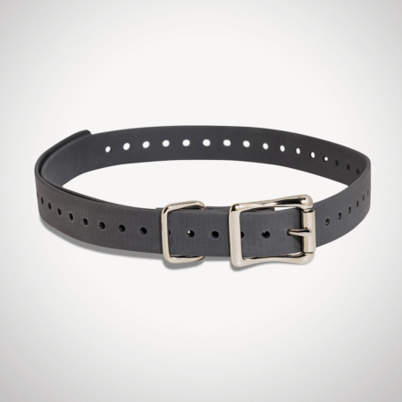 SportDOG 3/4 inch e-collar strap grey