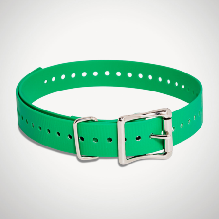 SportDOG 1 inch e-collar strap green