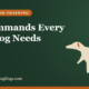 10 Commands Every Gun Dog Needs – Buy and Sell Hunting Dogs