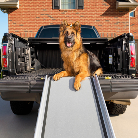 Deluxe XL Telescoping Ramp