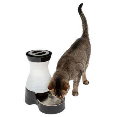 Healthy Pet Water Station - Large