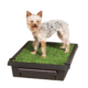 Pet Loo - Large