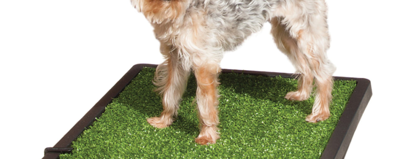 Pet Loo - Large