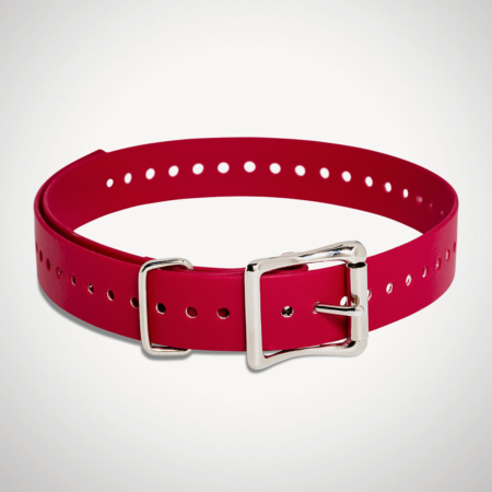 SportDOG 1 inch e-collar strap red