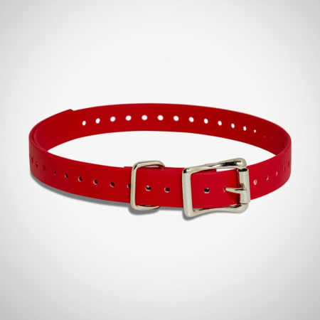 SportDOG 3/4 inch e-collar strap red