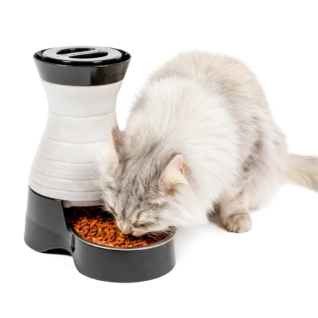 Healthy Pet Food Station - Medium