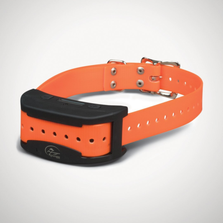 SportDOG Contain + Train add-a-dog collar