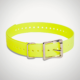 SportDOG 1 inch e-collar strap yellow